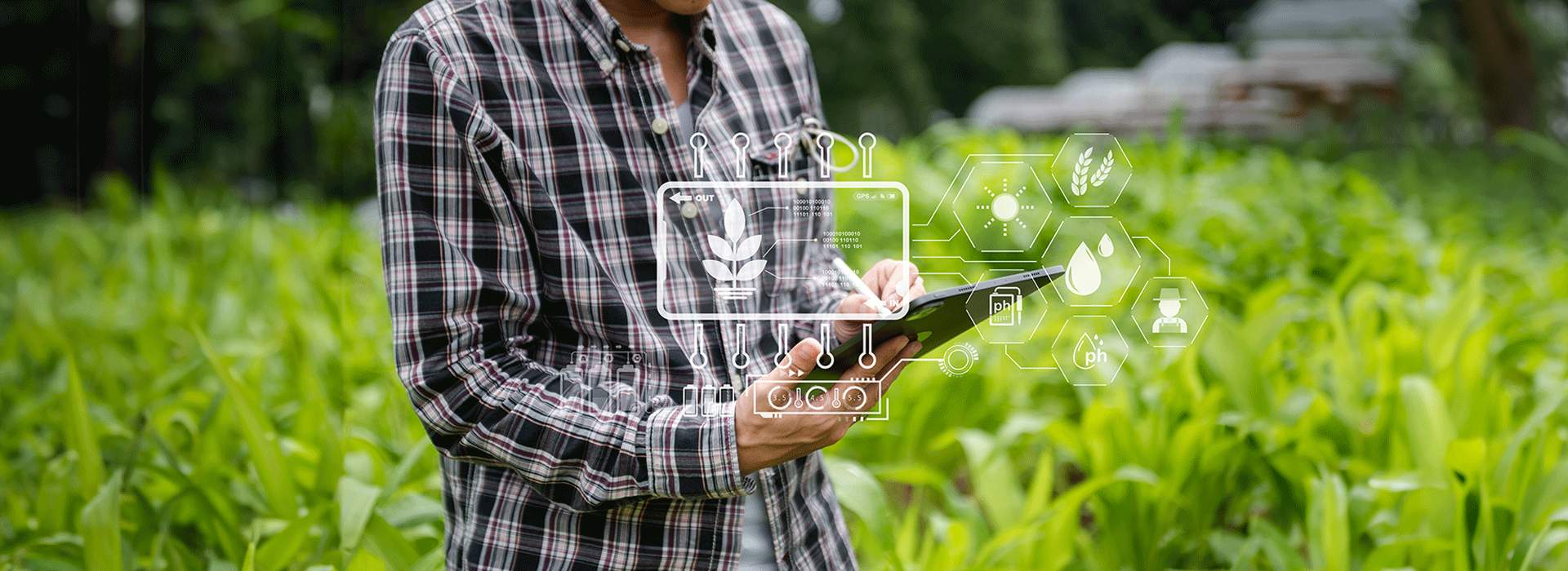 hombre en el campo de cultivo sosteniendo tablet con graficos alusivos a tecnologia alimentaria sobrepuestos 