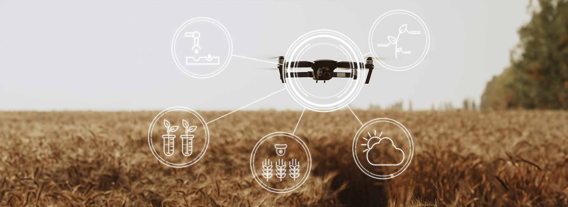 drone sobre campos de cultivo agricultura de precision