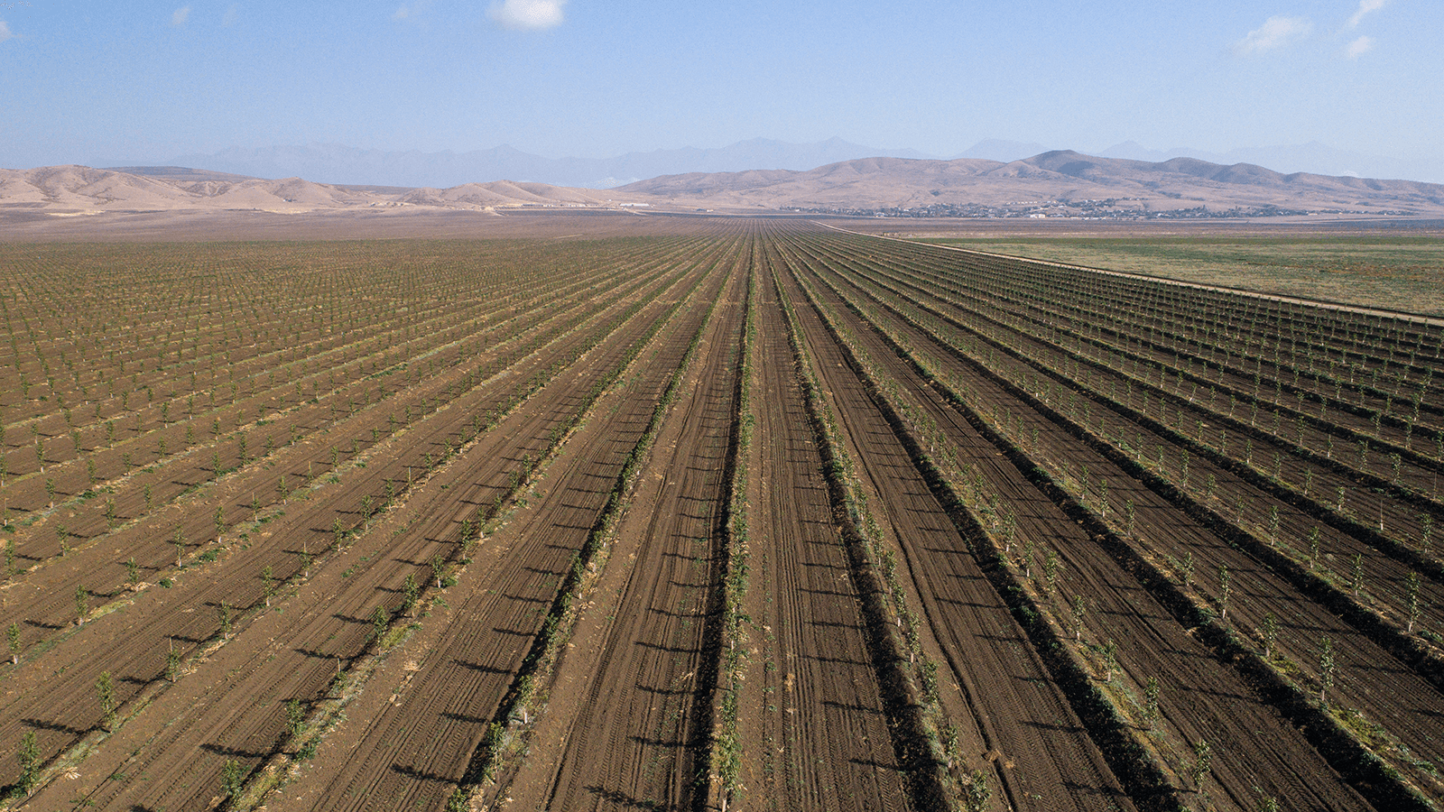 Ventajas y riesgos de invertir en agricultura en México